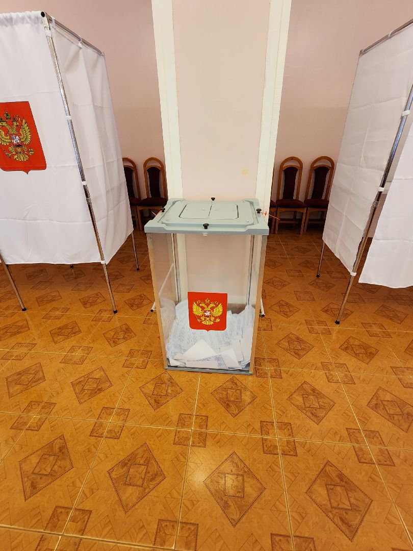 выборы, губернатора, 2023, голосование, Курочкин