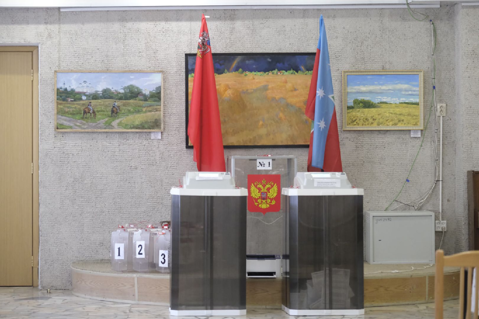 Пущино, выборы,