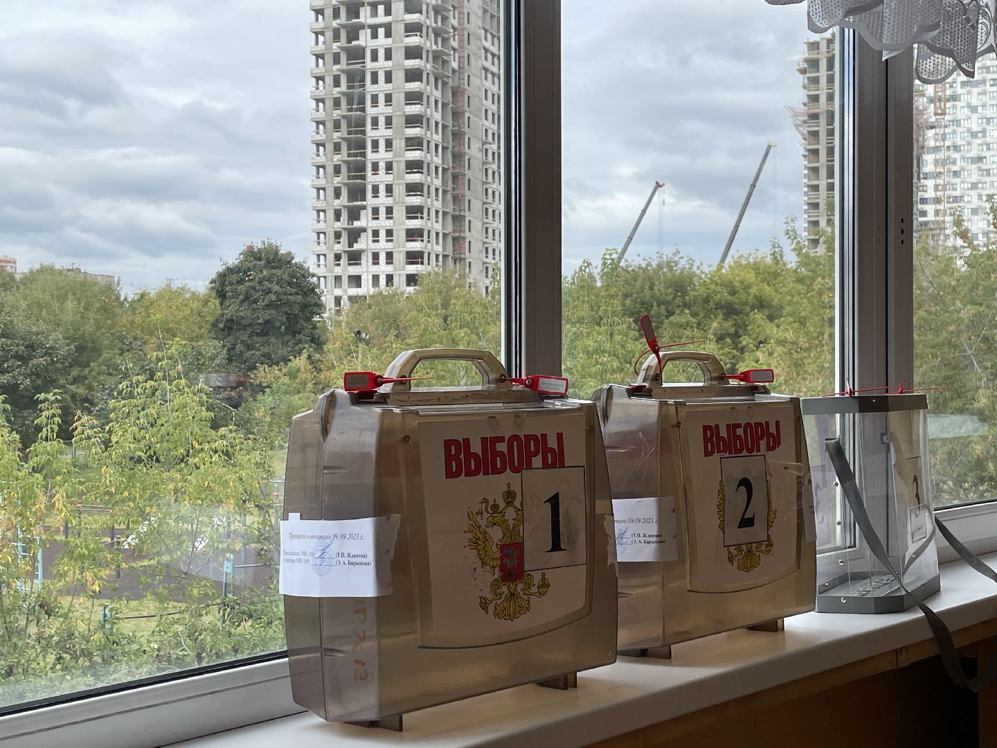 Выбор, онлайн-голосование, выборы, губернатор