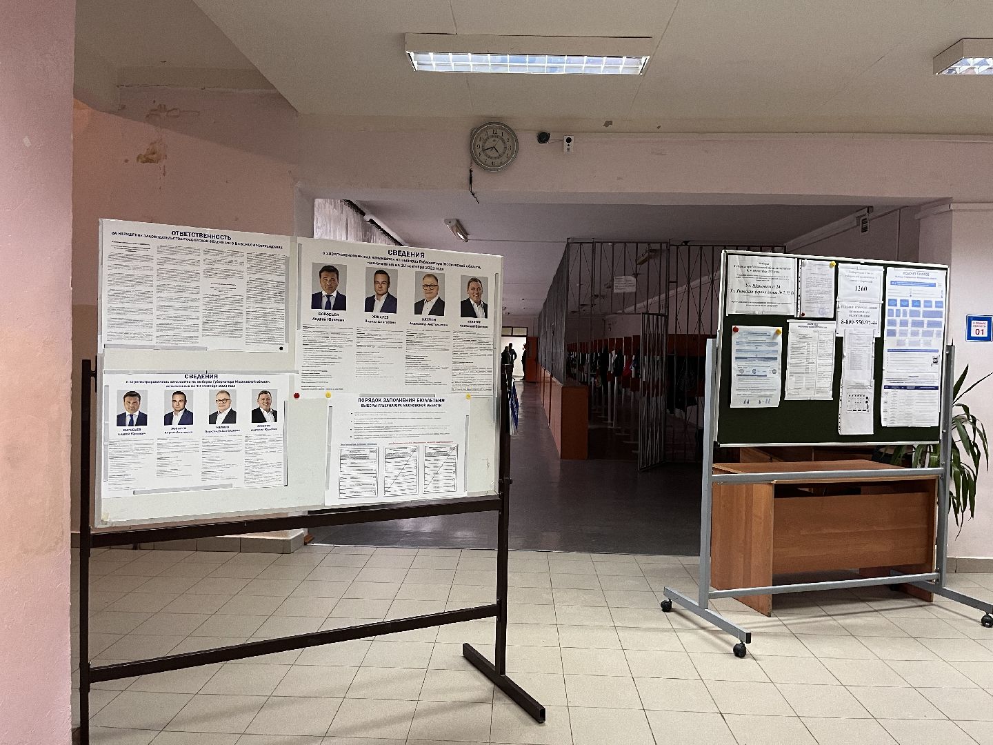 Шаховская, выборы, выборы губернатора, выборы 2023, выборы губернатора московской области,