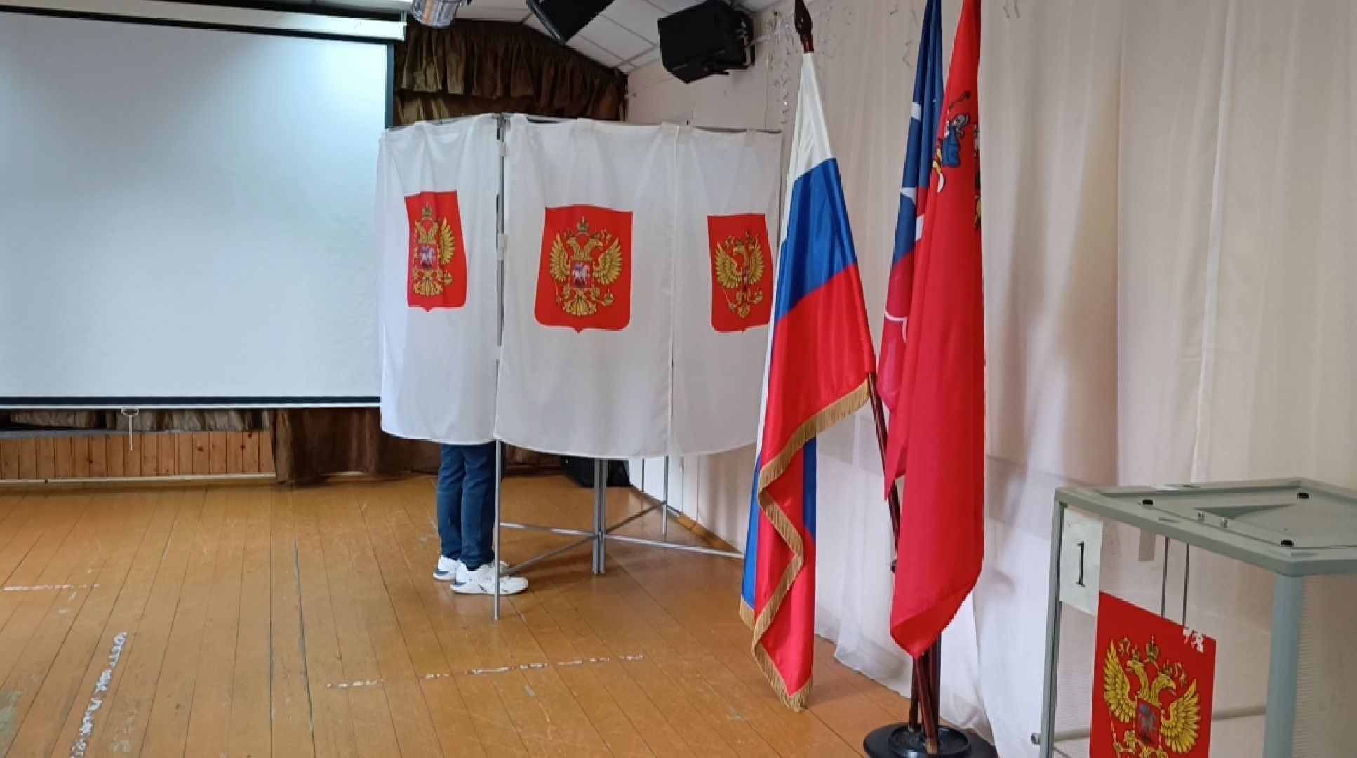 Лобня, общество, выборы