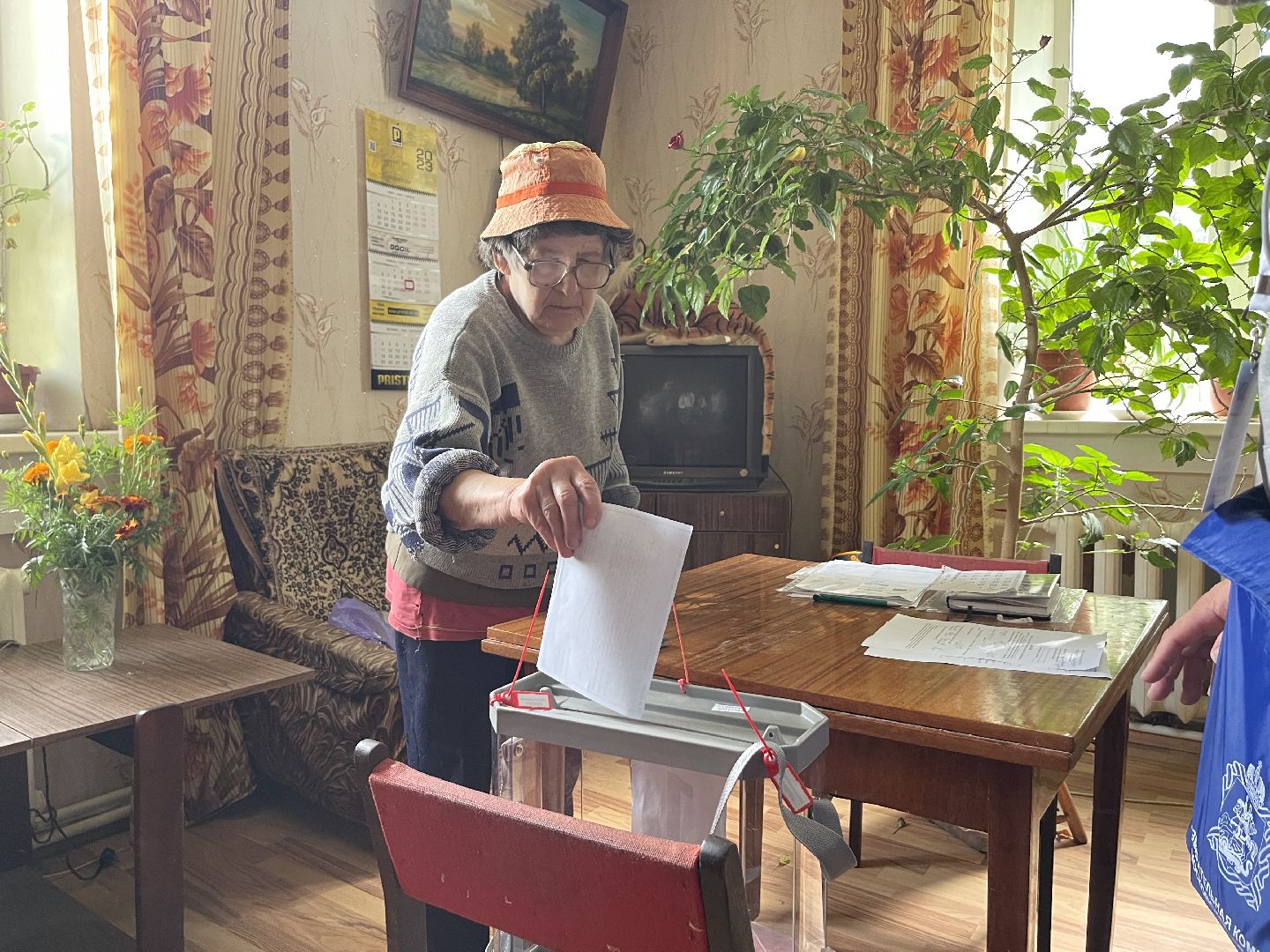 Подольск голосование