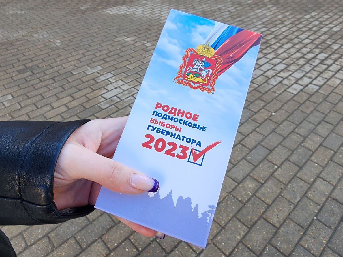 выборы 2023, выборы губернатора, выборы депутатов, лосино-петровский,