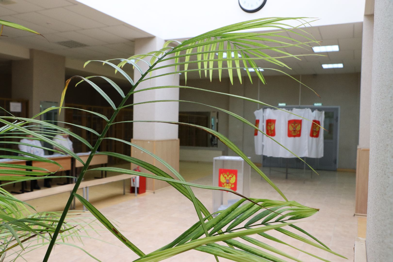 Серебряные Пруды, выборы 2023