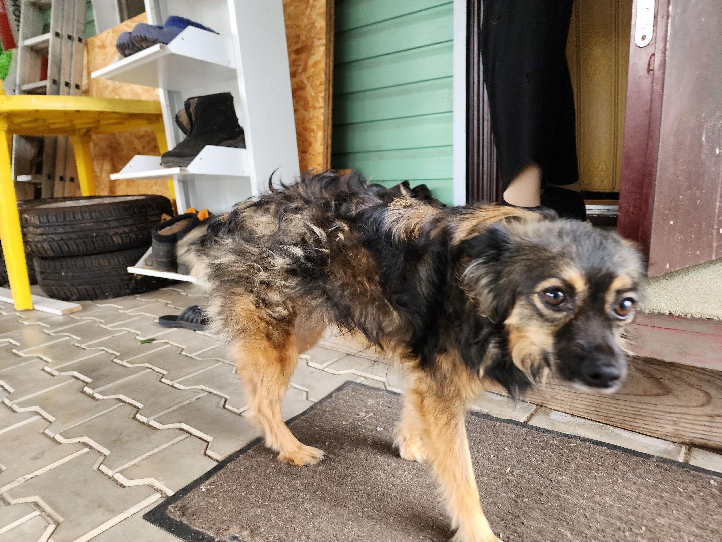 Ступино, ПодмосковьеВыбирает2023, ЕДГ2023