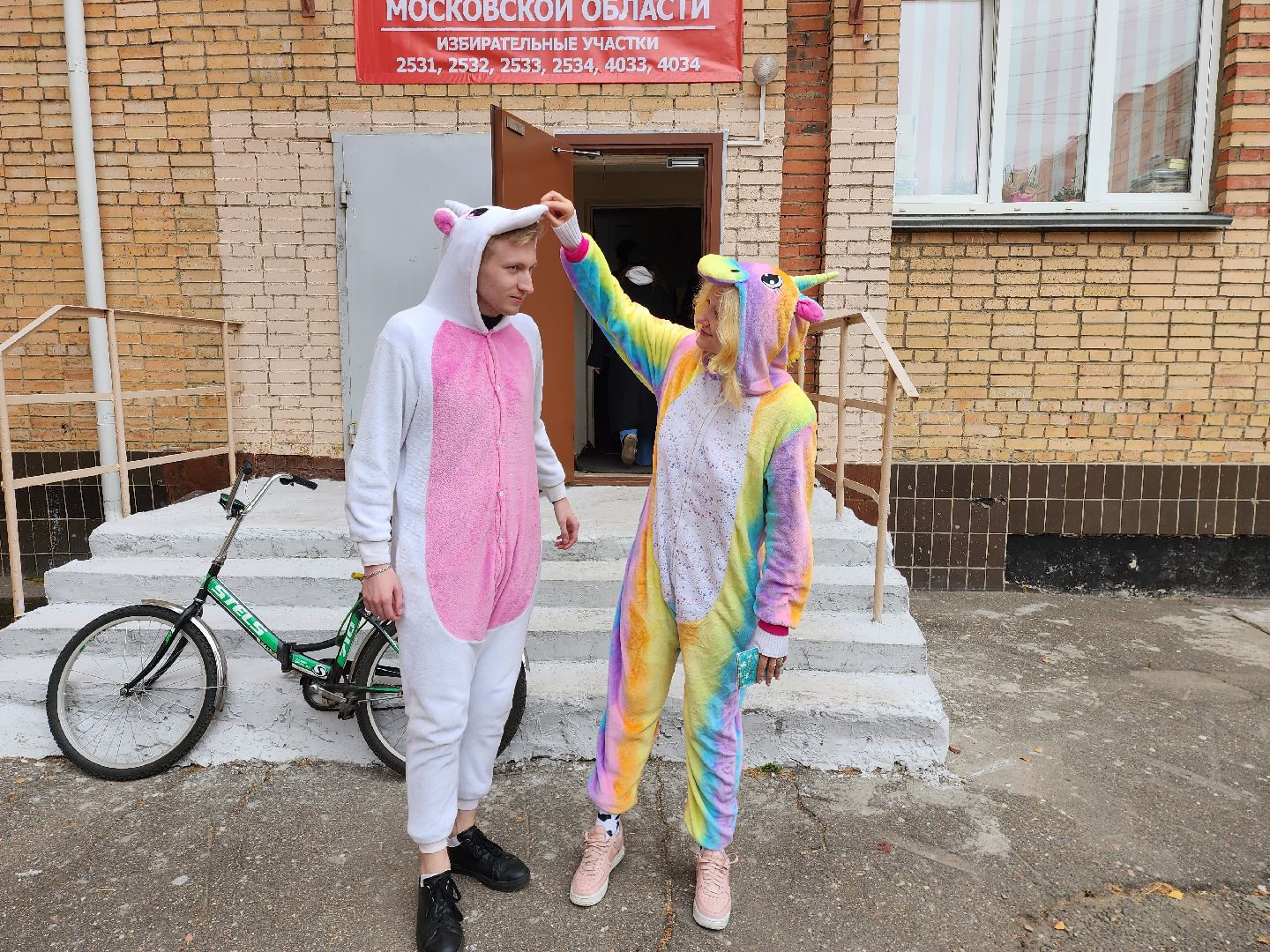 Раменское, выборы, голосующие в костюме единорогов