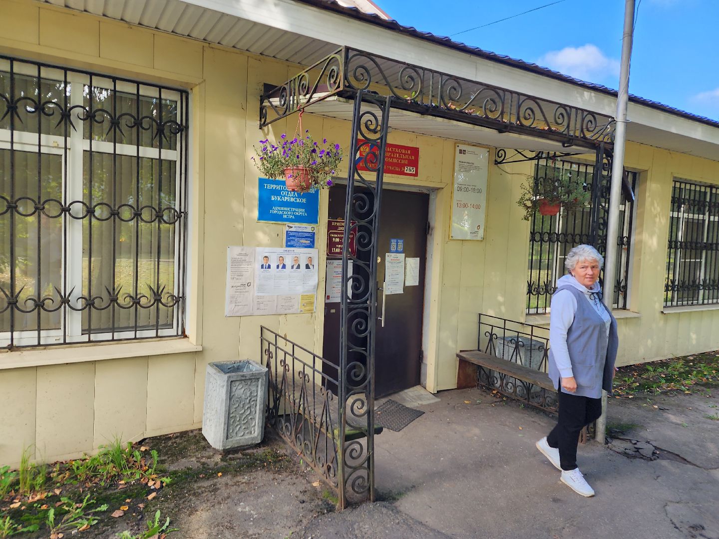 Голосование, выборы, избиратели