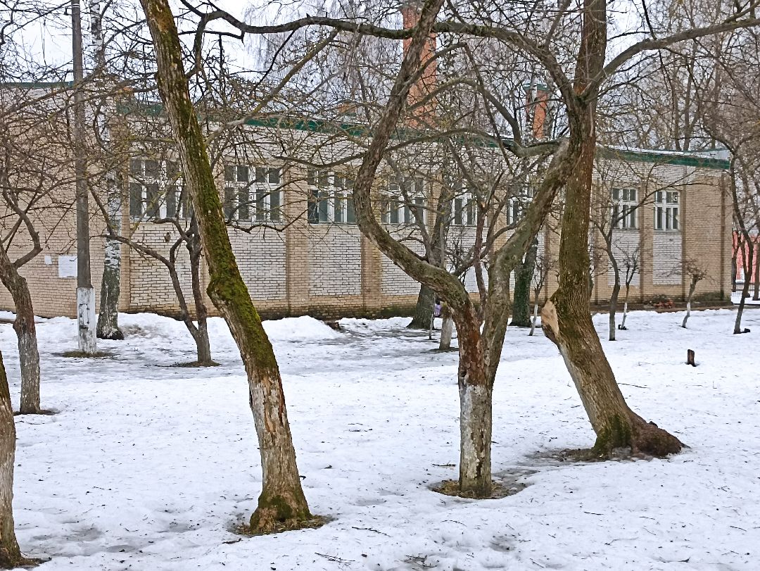 Серпухов, образование