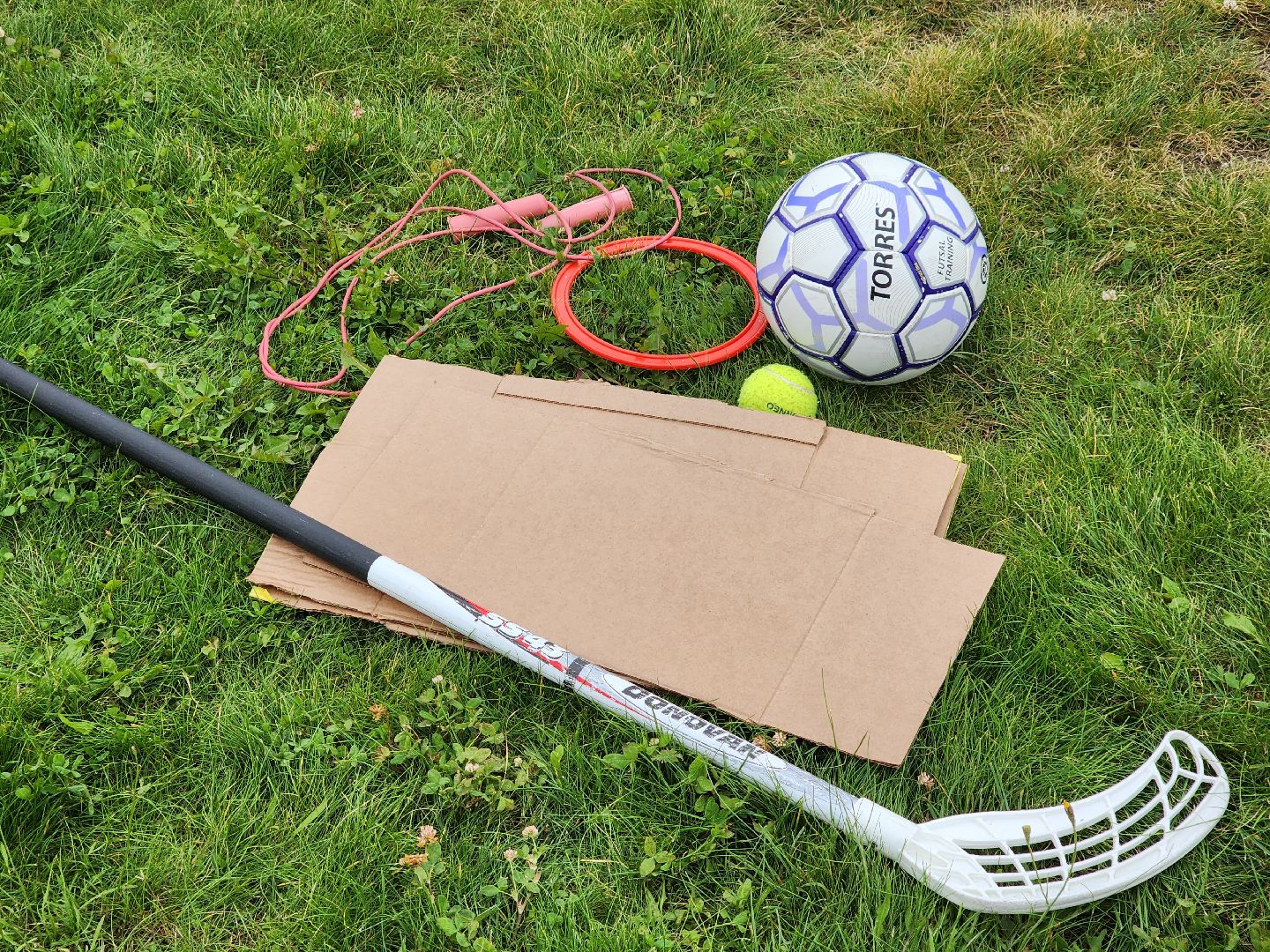 выборы, пушкино, спорт,