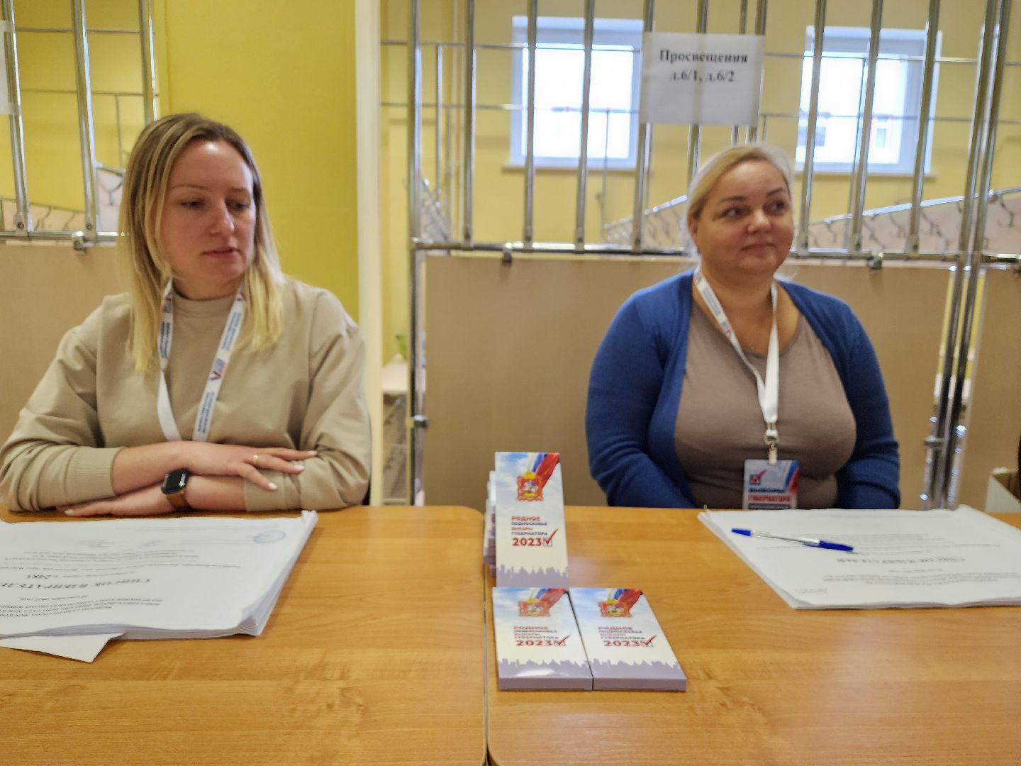 пушкино, выборы, голосование, подарки,