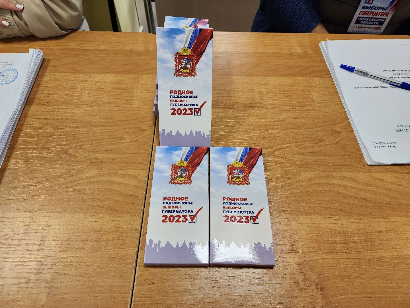 пушкино, выборы, голосование, подарки,