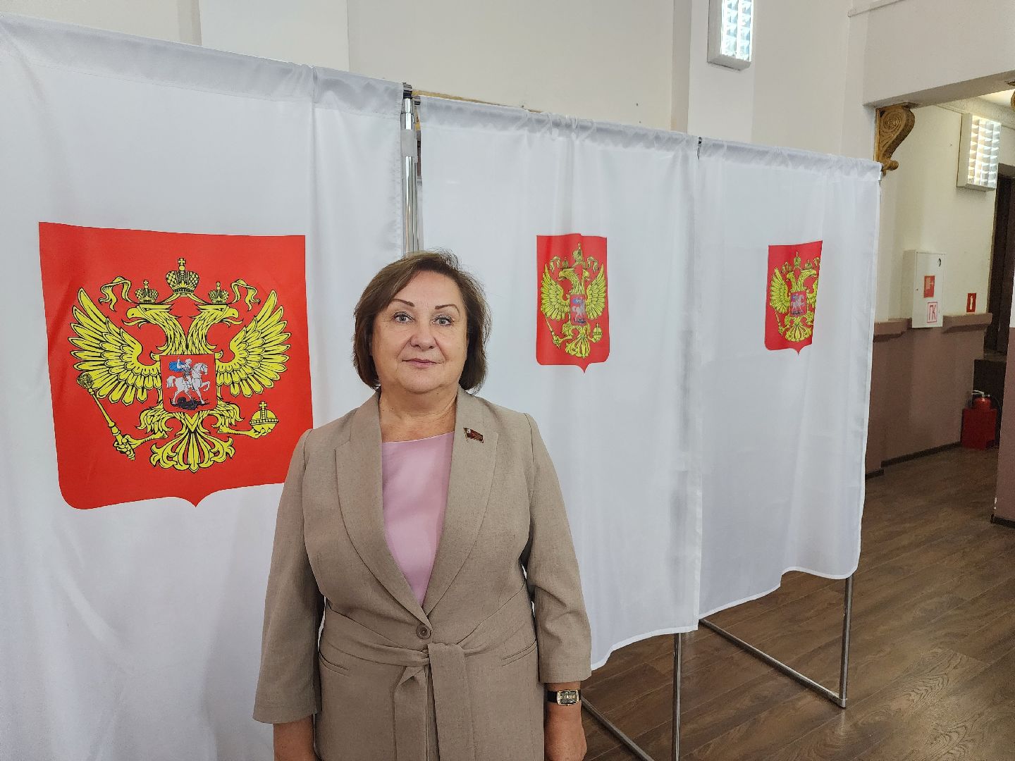 Голосование, выборы, депутат