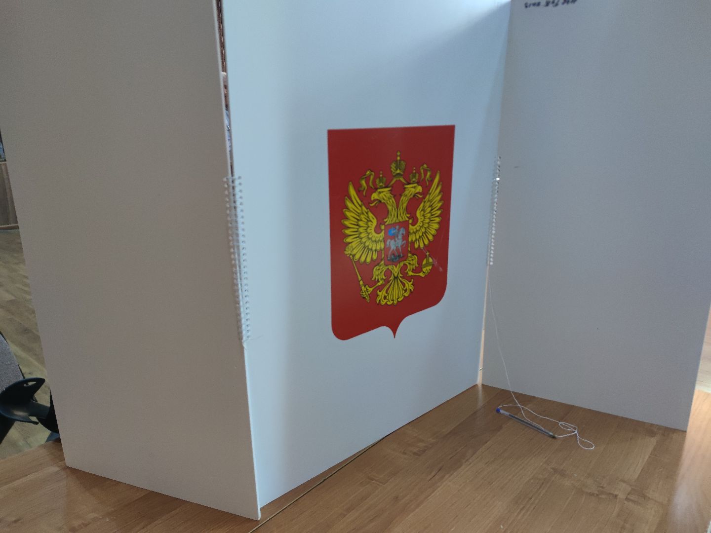 Экоактивист, экология, дэг, электронное голосование, Дубна