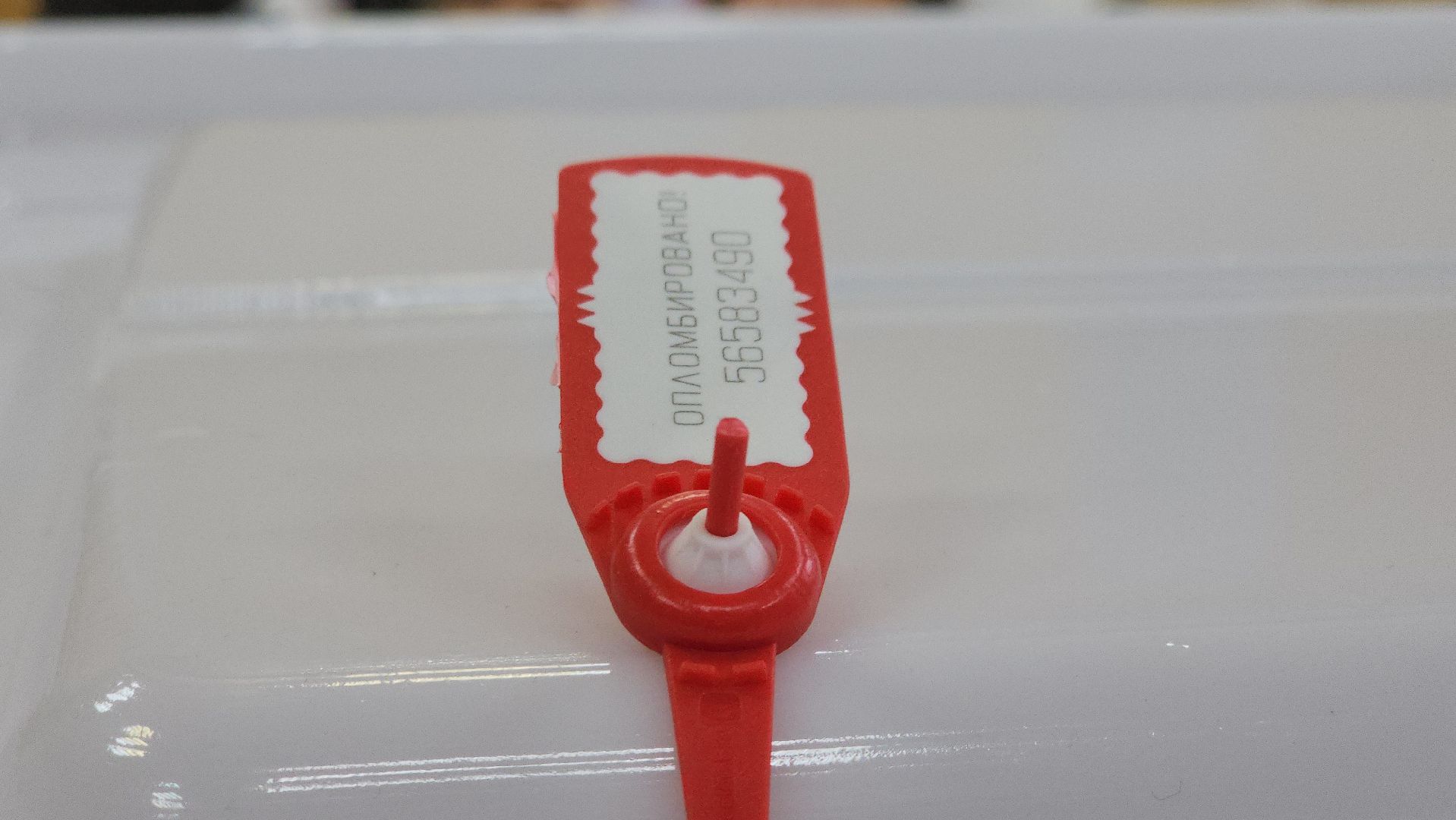 Коломна, выборы, губернатор, избирательный участок,