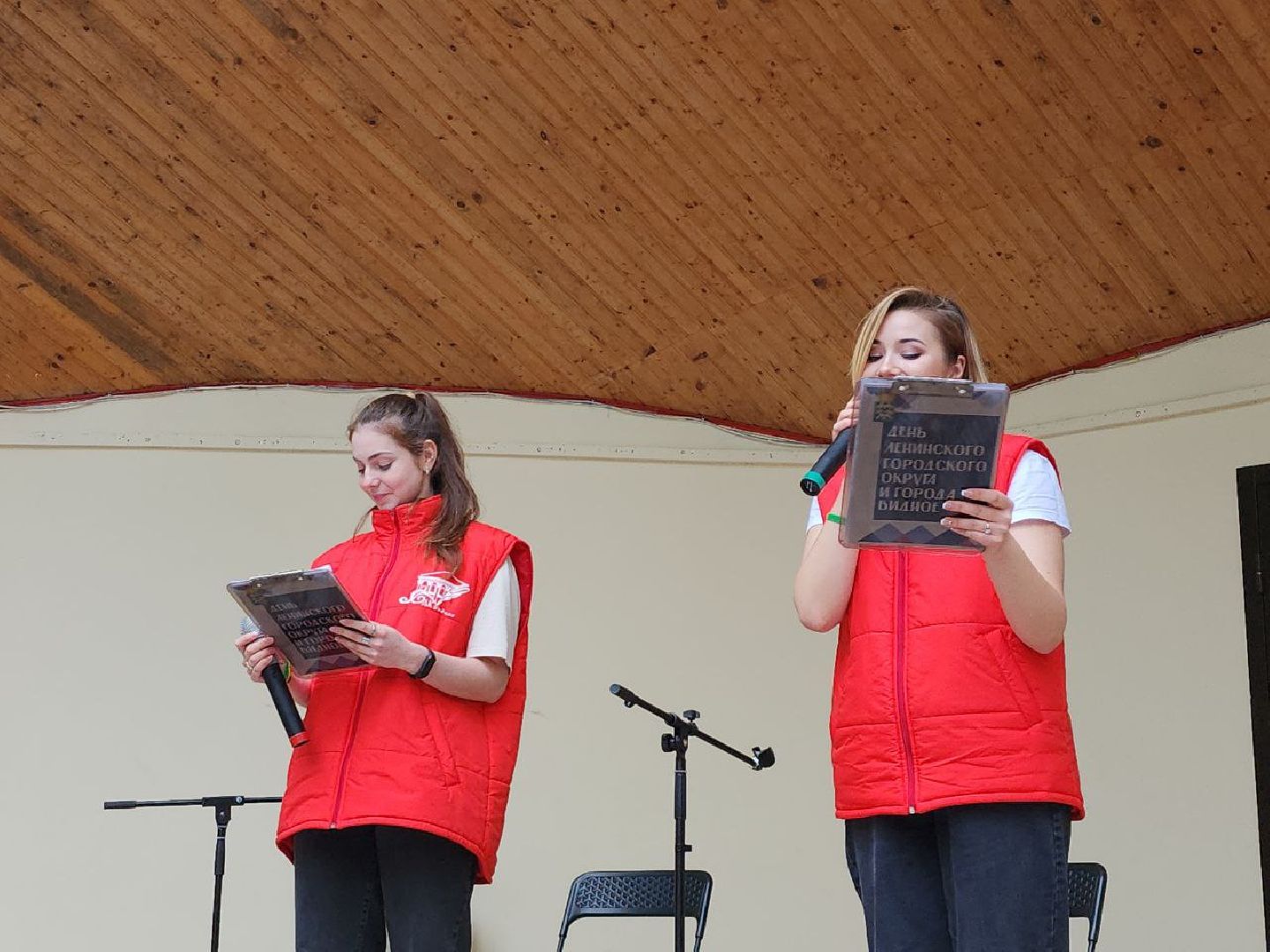 день города; праздник; видное; концерт