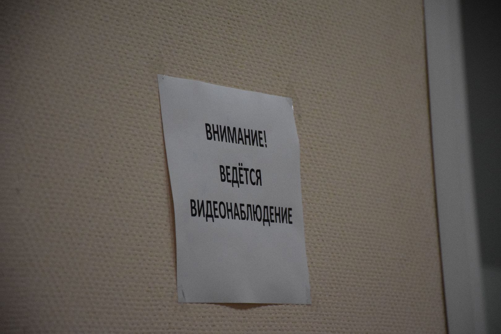 Павловский Посад, городской округ Павловский Посад, выборы, люди, голосование, Подмосковье выбирает 2023, ЕДГ2023