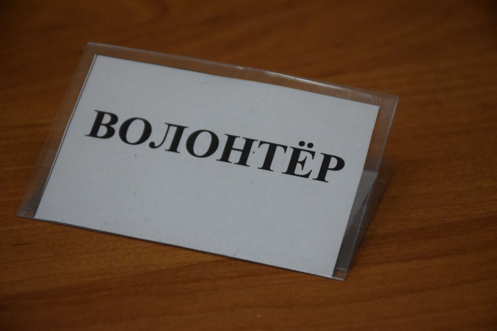 Павловский Посад, городской округ Павловский Посад, выборы, люди, голосование, Подмосковье выбирает 2023, ЕДГ2023