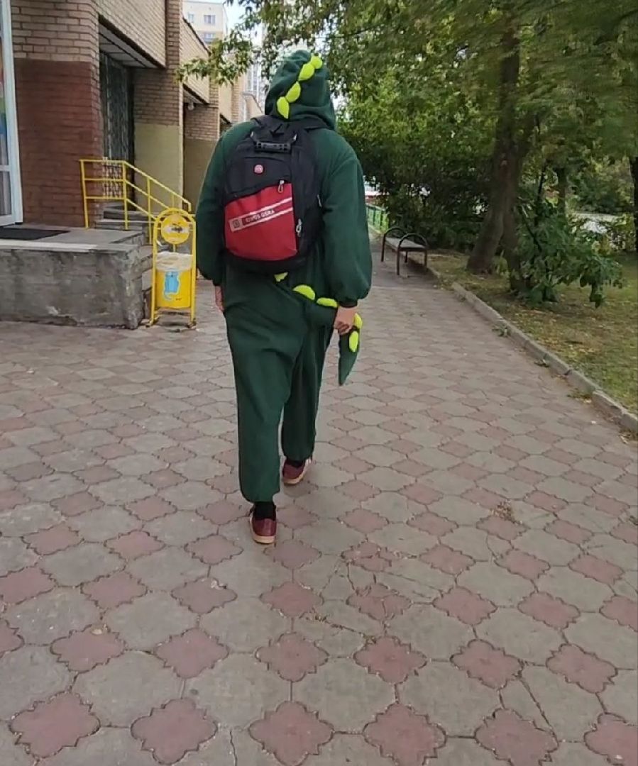 Долгопрудный, выборы, дракон, крокодил