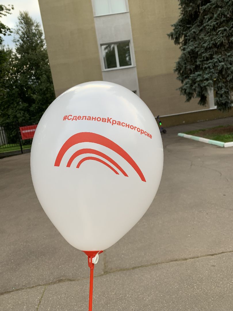 выборы 2023, выборы губернатора,