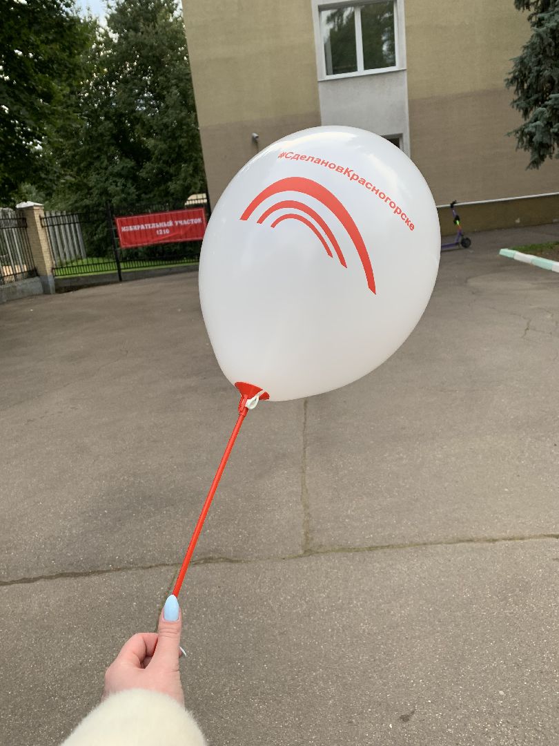 выборы 2023, выборы губернатора,