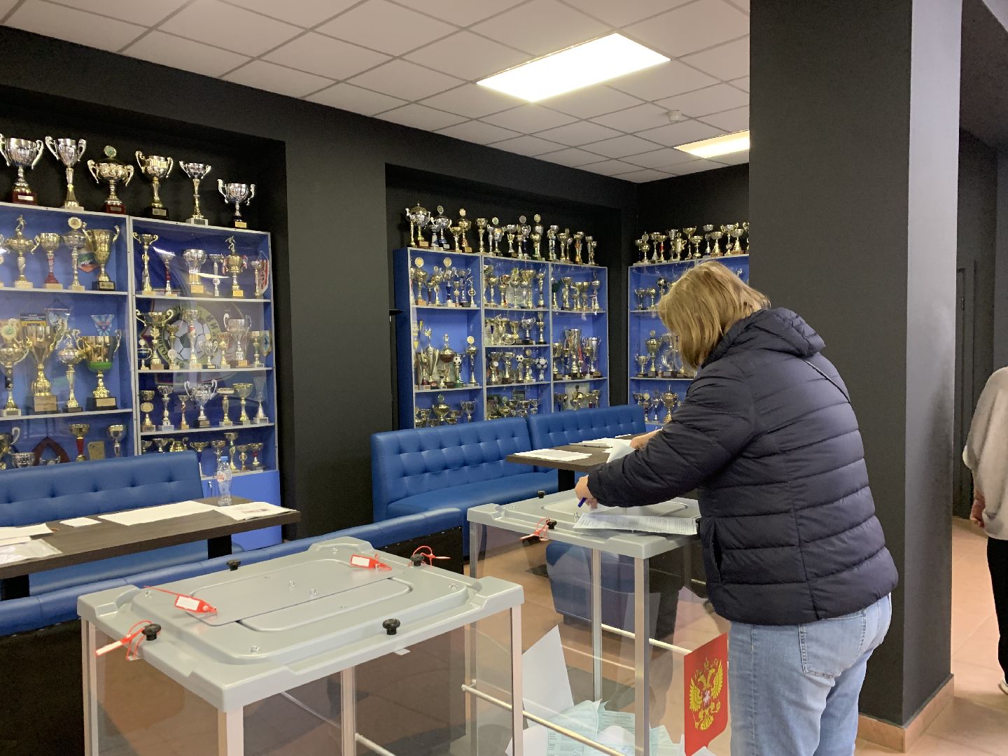 выборы 2023, выборы губернатора,