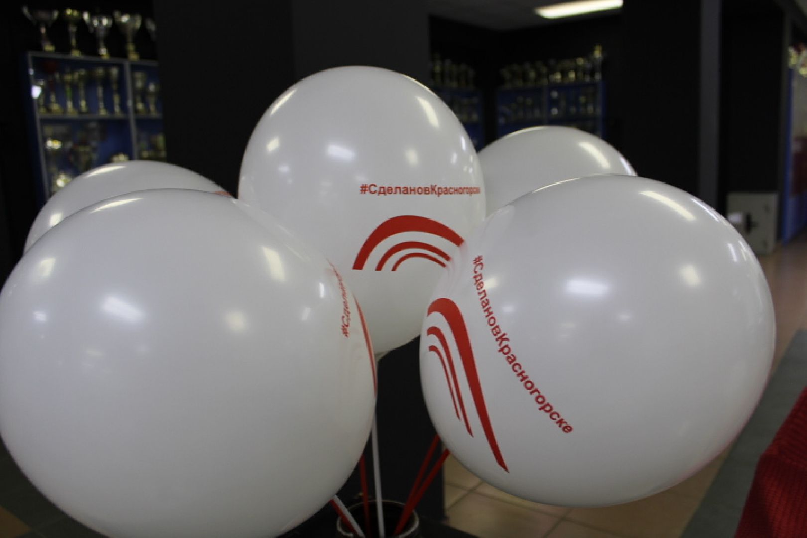 выборы 2023, выборы губернатора,