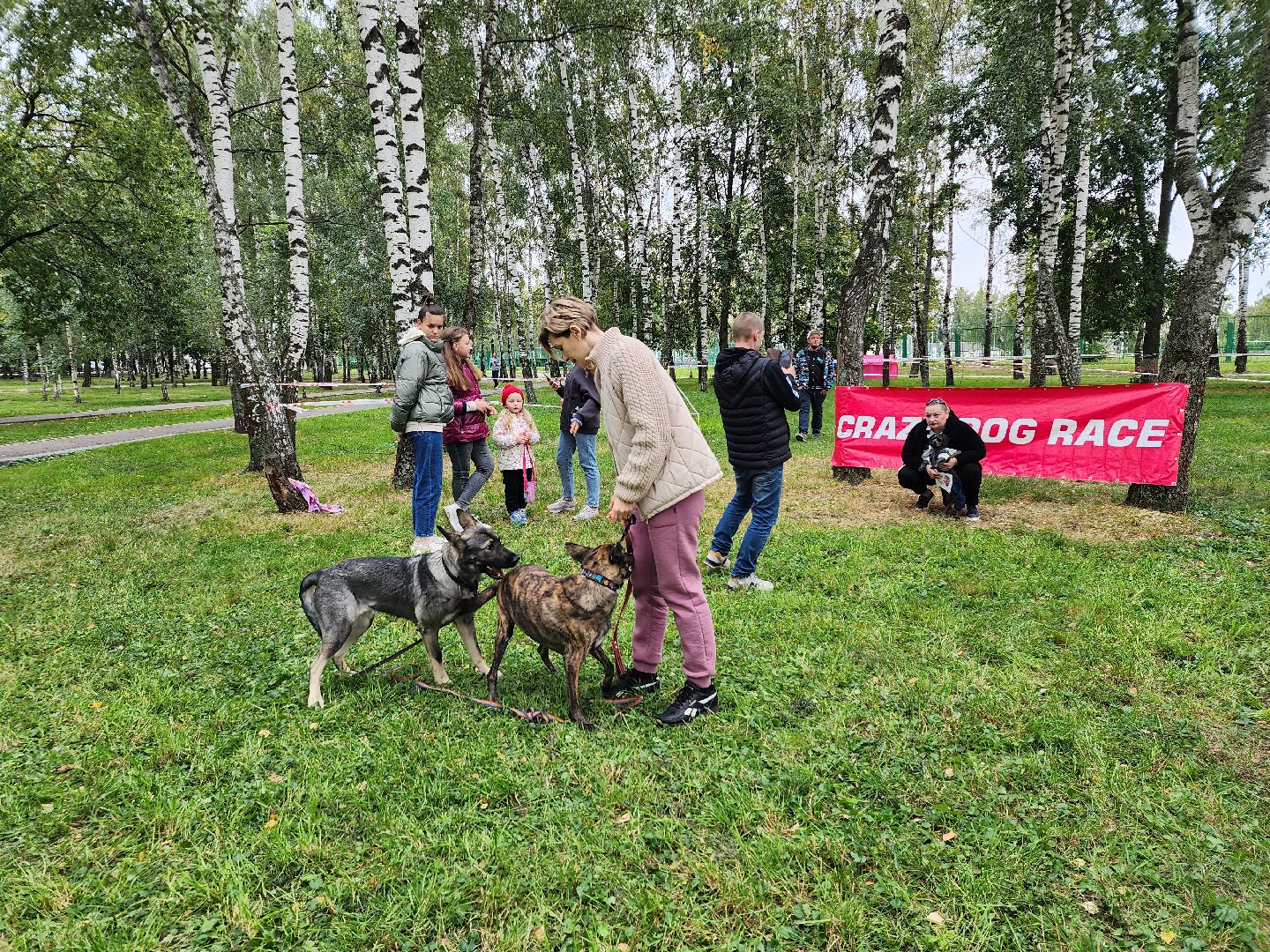 День города, полоса препятствий, собаководы, Старая Купавна, Богородский городской округ