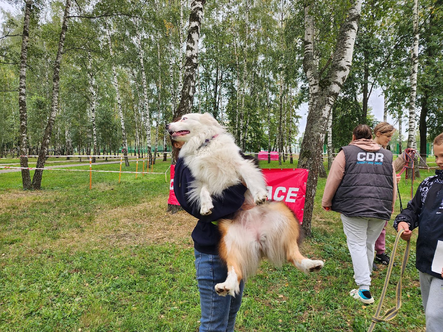 День города, полоса препятствий, собаководы, Старая Купавна, Богородский городской округ