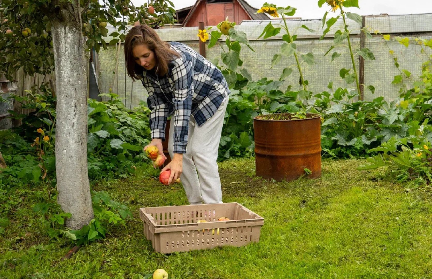 ПодмосковьеВыбирает2023, ЕДГ2023, выборы, Орехово-Зуево