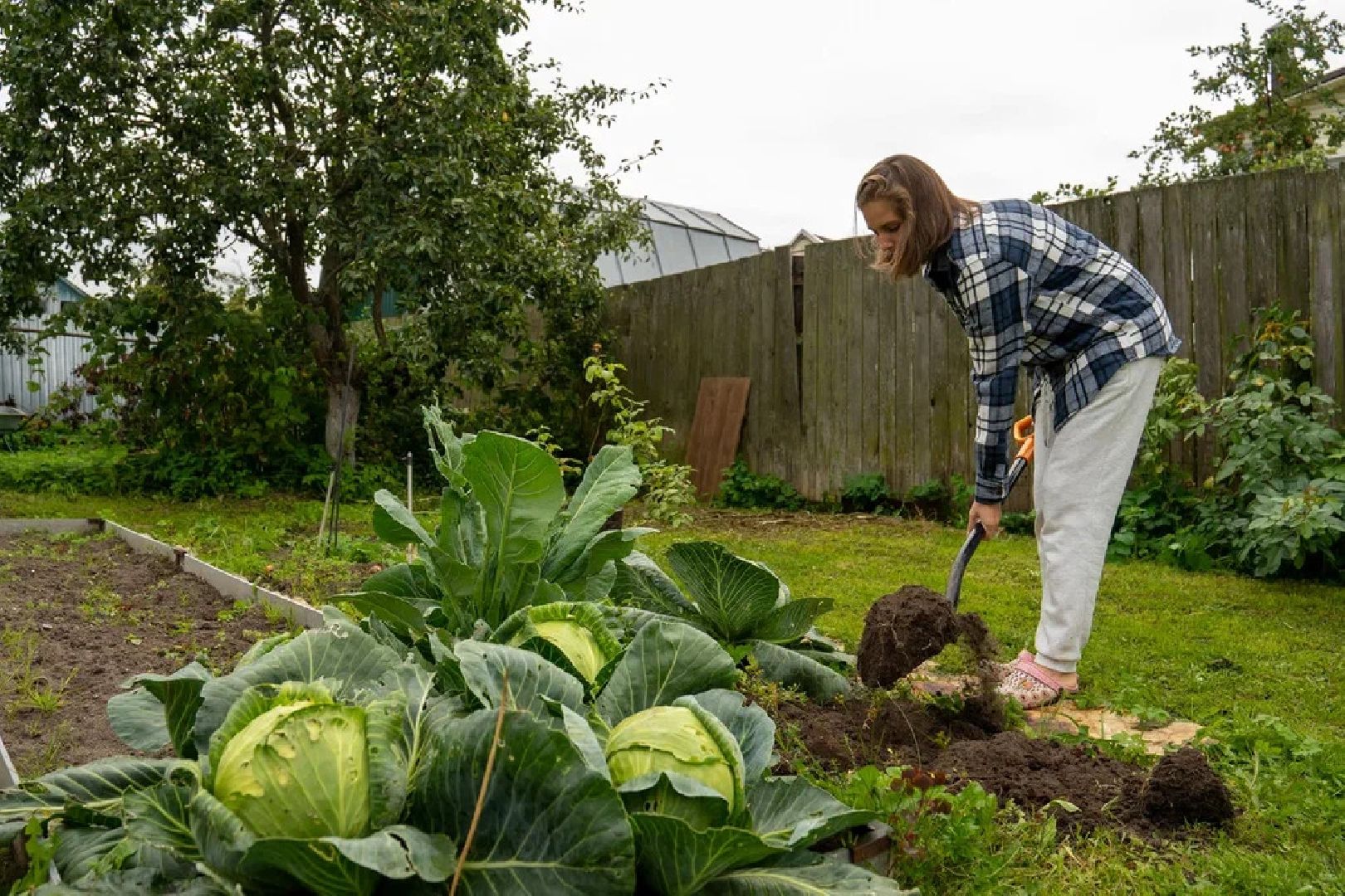 ПодмосковьеВыбирает2023, ЕДГ2023, выборы, Орехово-Зуево