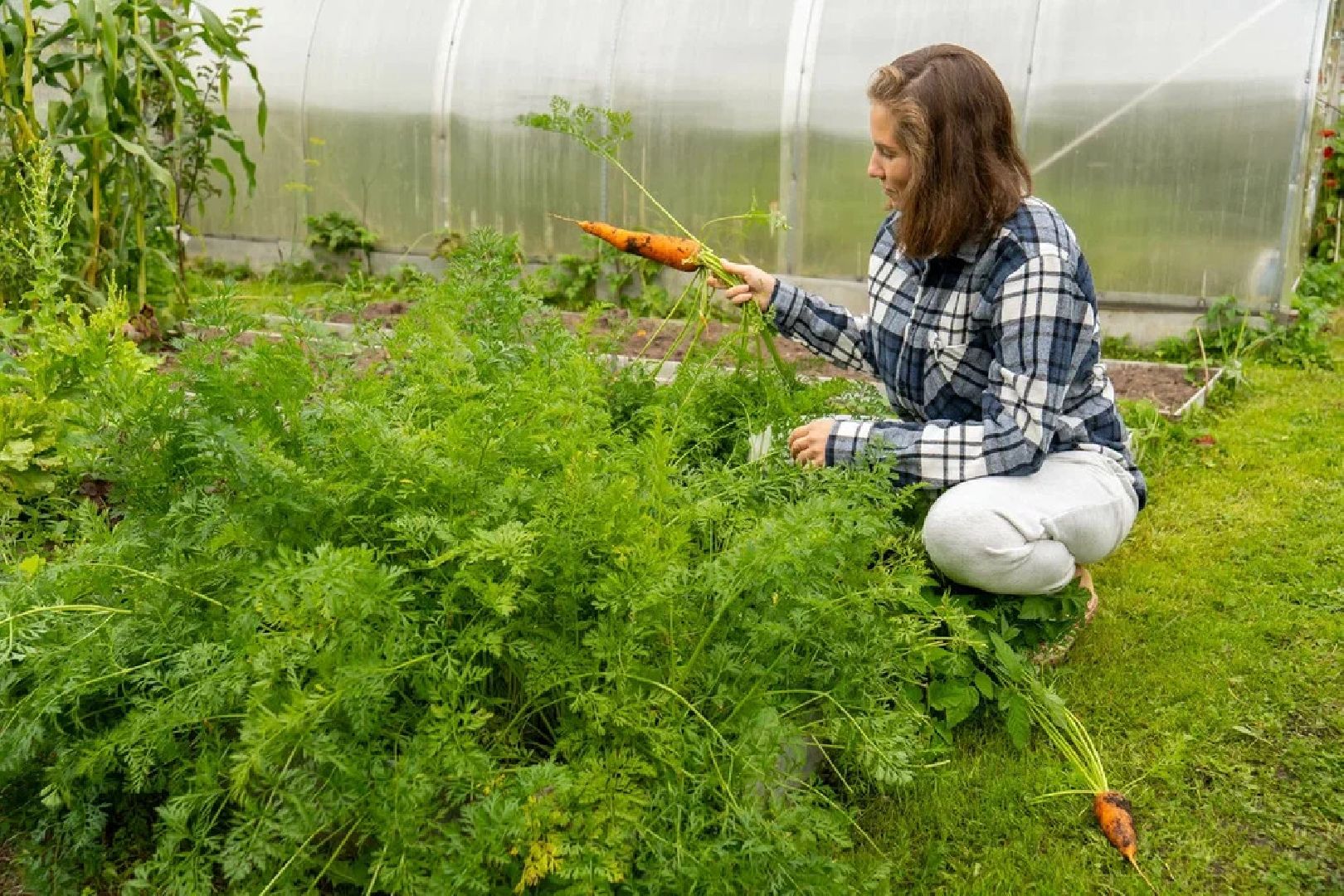 ПодмосковьеВыбирает2023, ЕДГ2023, выборы, Орехово-Зуево