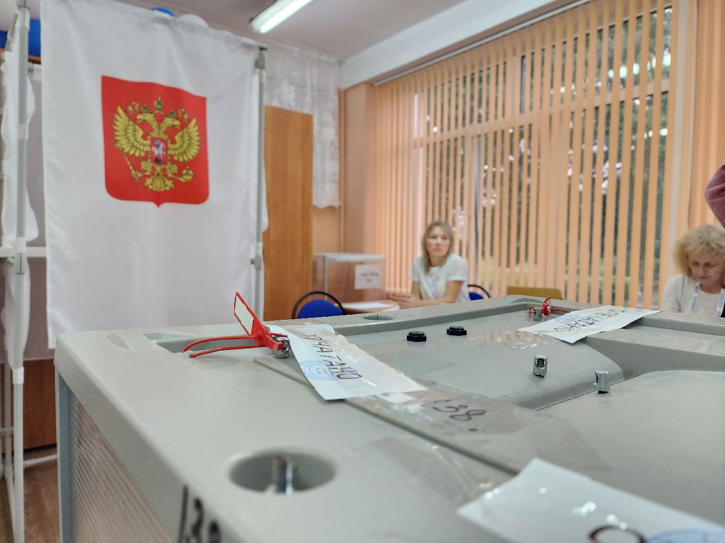 воскресенск, выборы, выборы губернатора, московская область, жители, голосование,