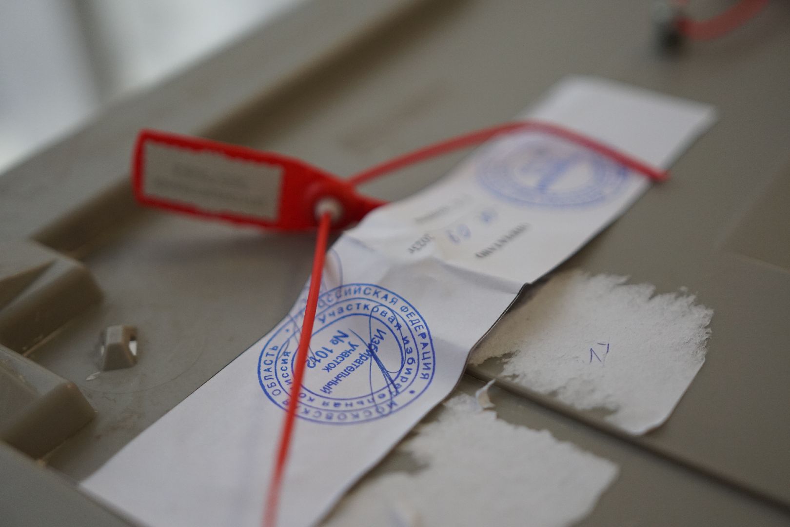 Коломна, выборы, губернатор