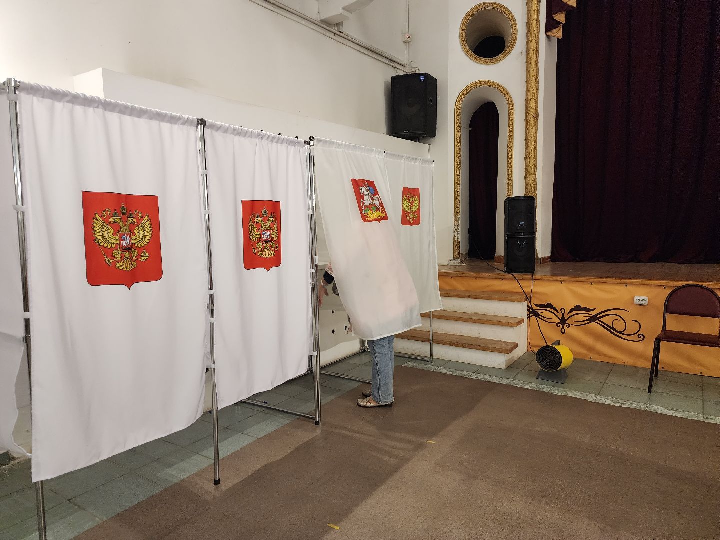 Голосование, выборы, Дедовск