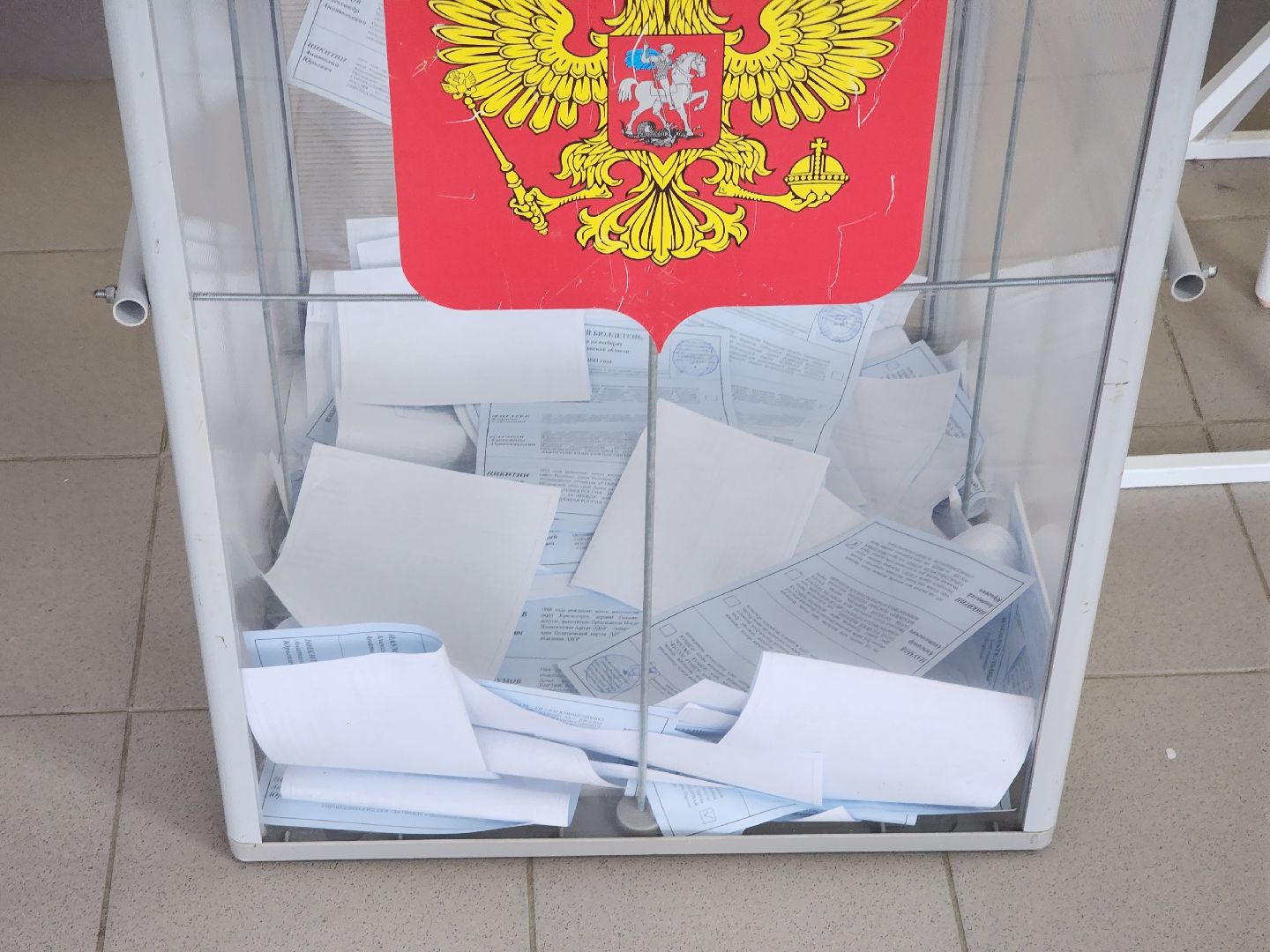 Коломна, первый голос, выборы, губернатор.