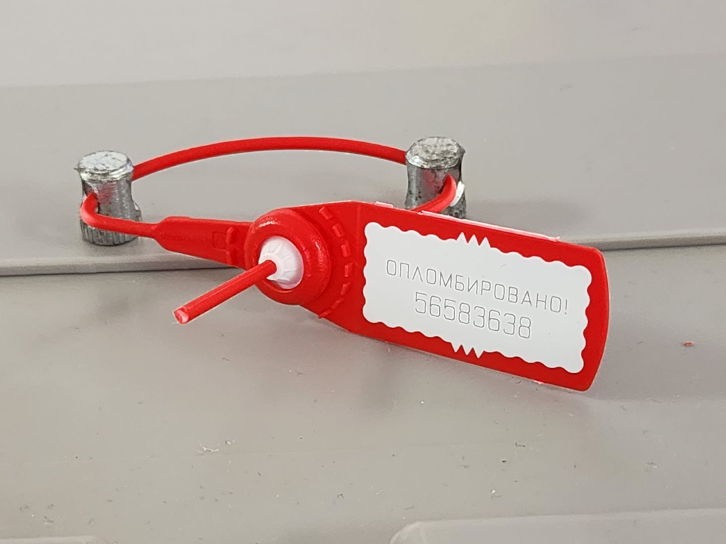 Коломна, первый голос, выборы, губернатор.