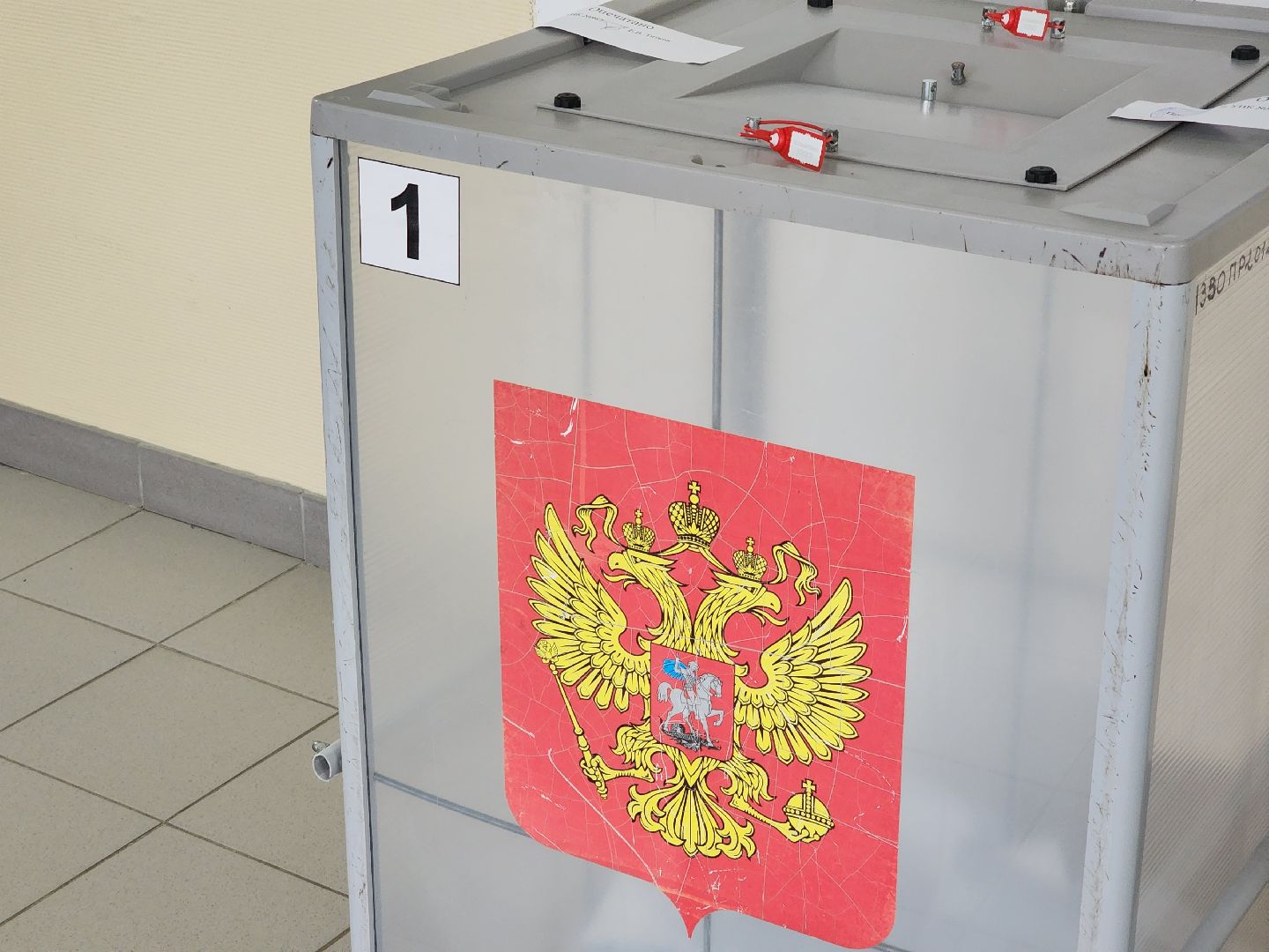 Коломна, первый голос, выборы, губернатор.