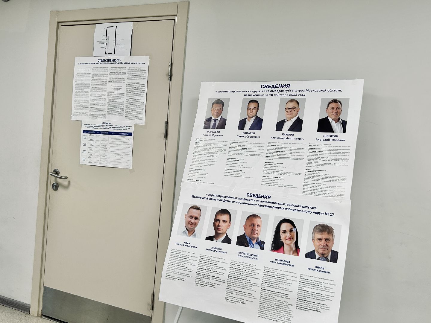 Фрязино, голосование, выборы, губернатор, Подмосковье, #ПодмосковьеВыбирает2023 #ЕДГ2023