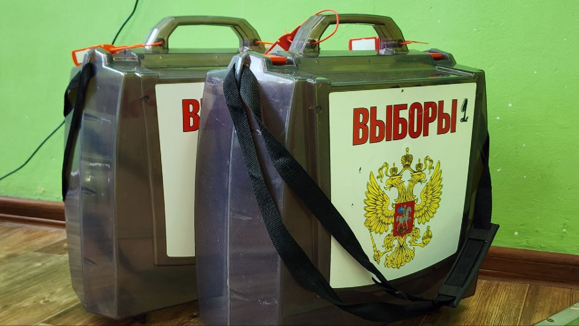 Дмитров, Выборы 2023, Губернатор