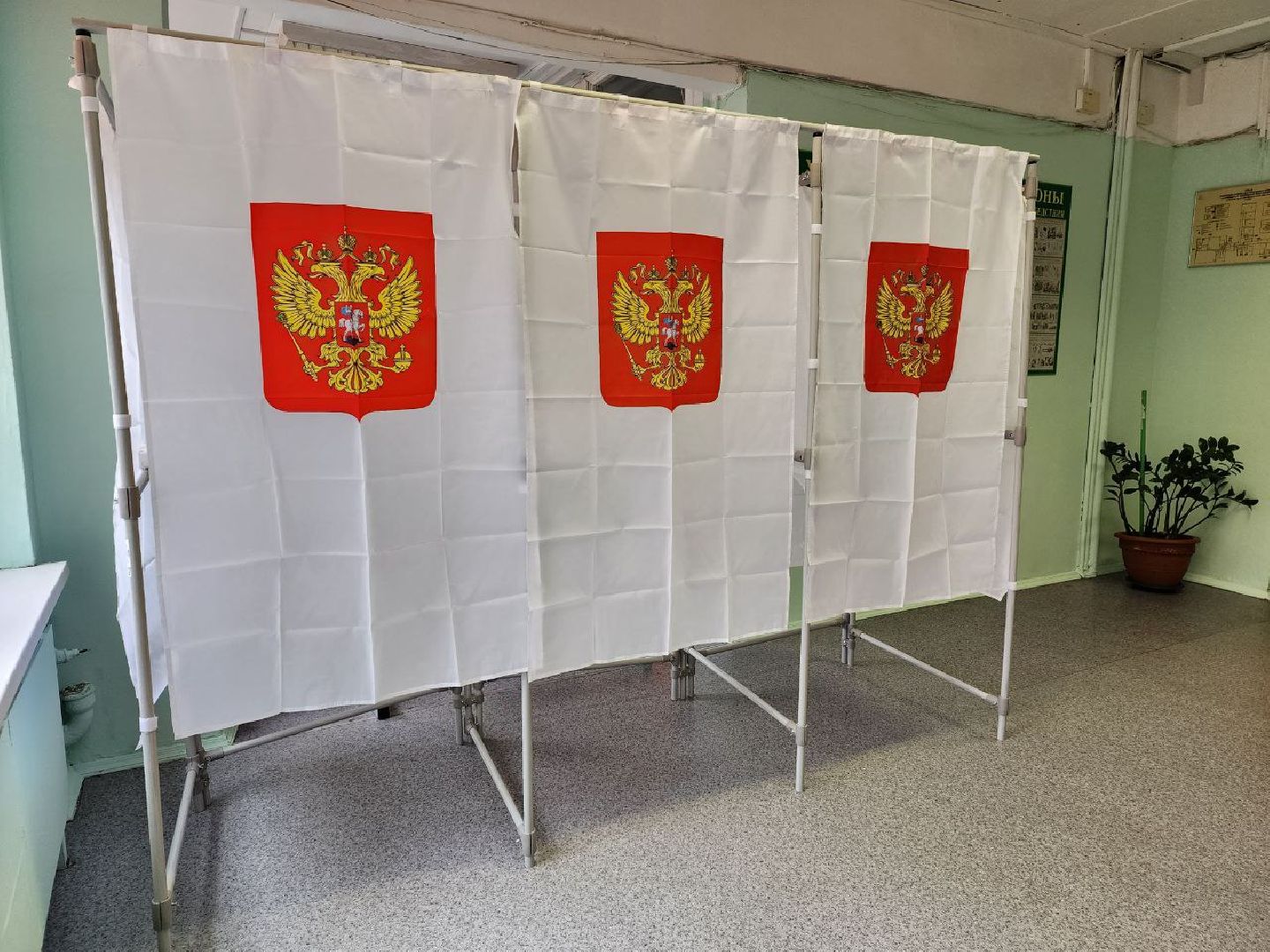 Химки, Подмосковье, выборы, голосование, общество