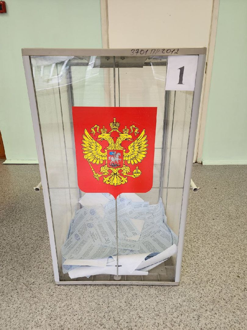 Химки, Подмосковье, выборы, голосование, общество