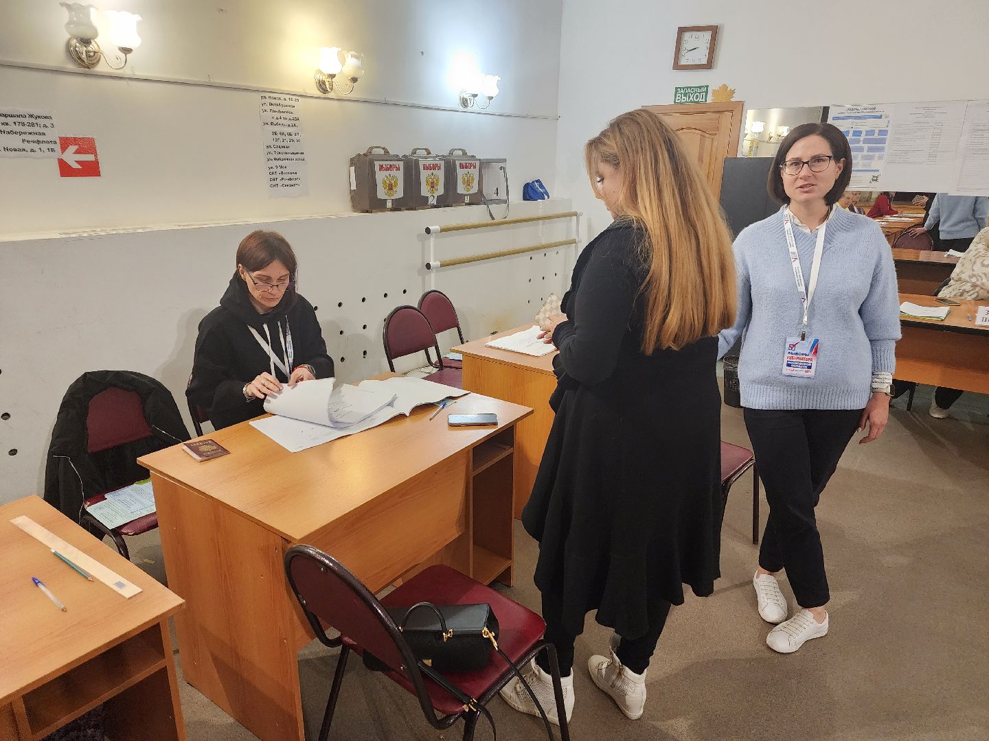 Дедовск, выборы, голосование