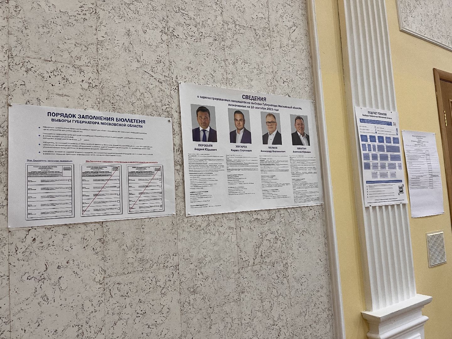 Шаховская, выборы, выборы 2023, выборы губернатора, выборы губернатора московской области,