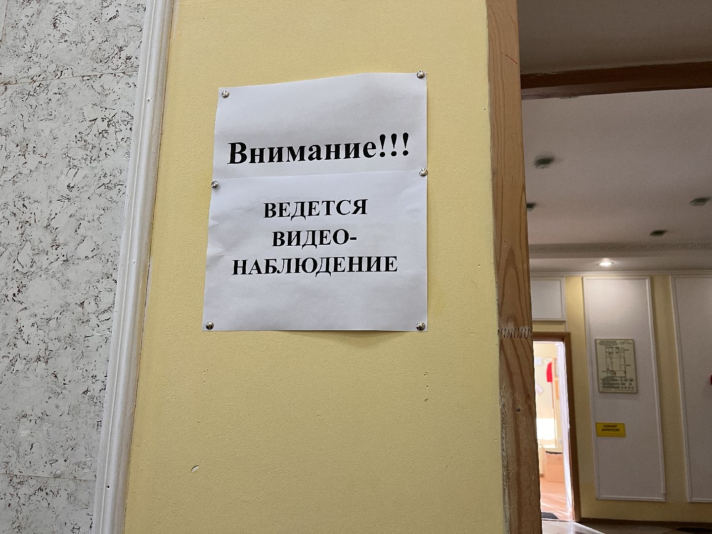 Шаховская, выборы, выборы 2023, выборы губернатора, выборы губернатора московской области,