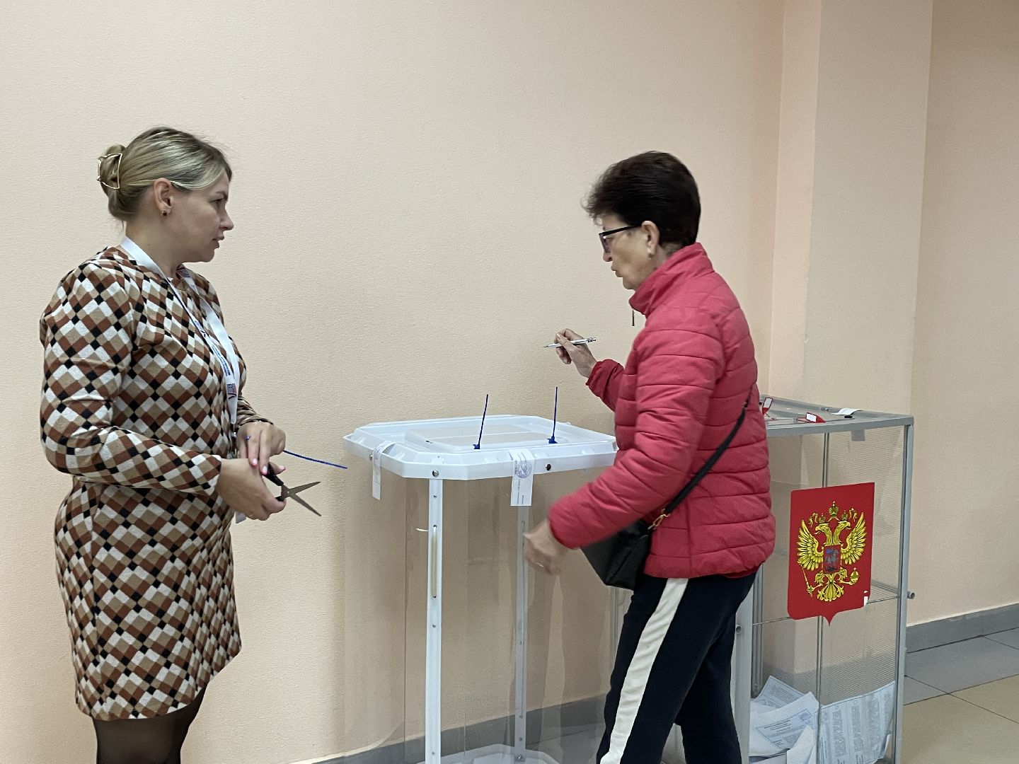 Выборы, губернатор, Подмосковье, голос