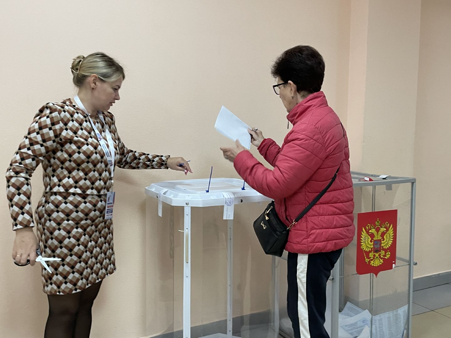 Выборы, губернатор, Подмосковье, голос