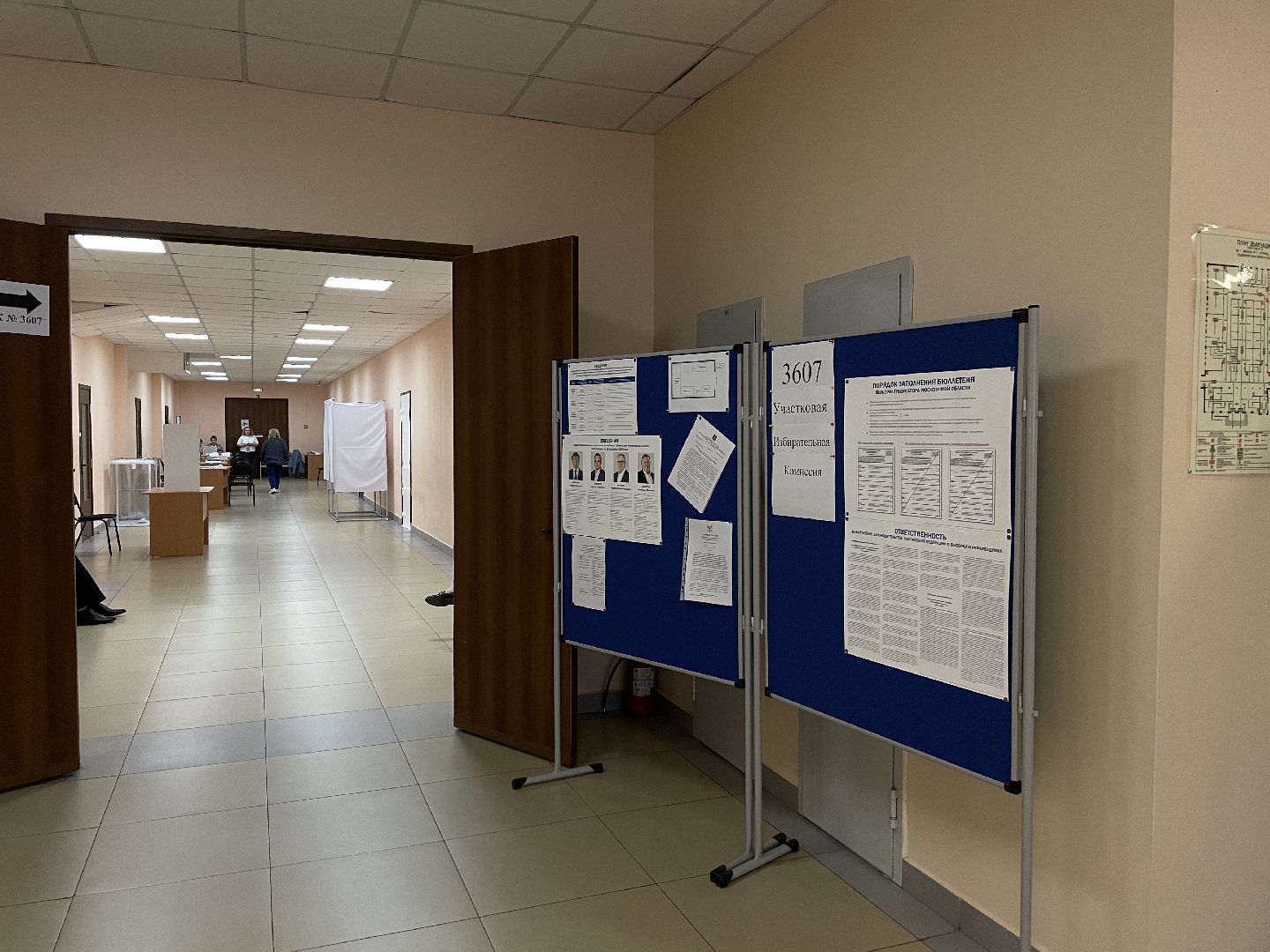 Выборы, губернатор, Подмосковье, голос