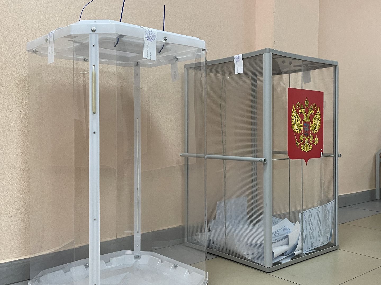 Выборы, губернатор, Подмосковье, голос