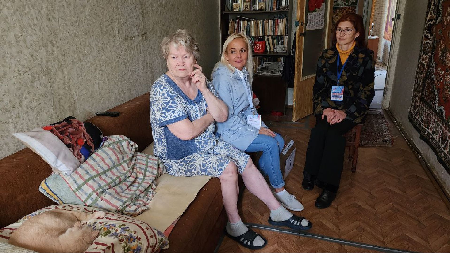 Дмитров, Выборы 2023, Губернатор