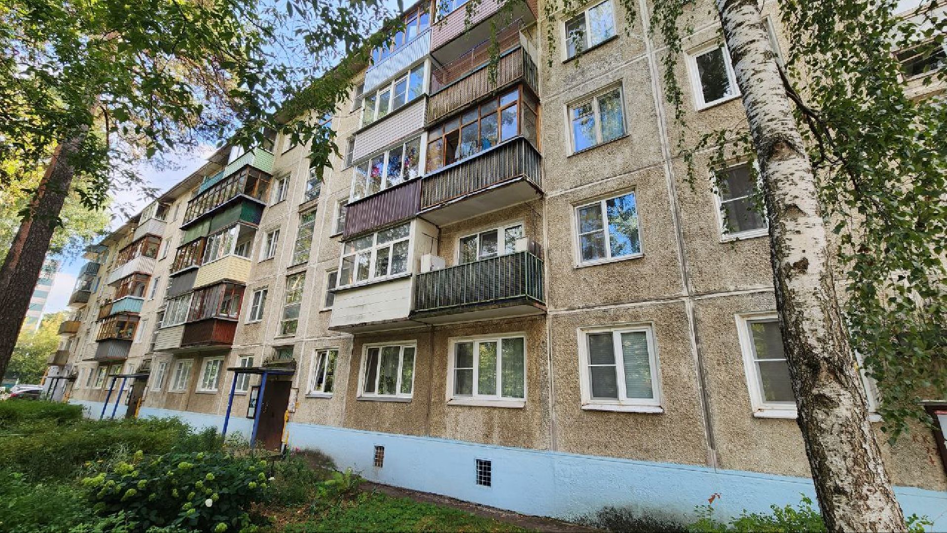 Дмитров, Выборы 2023, Губернатор